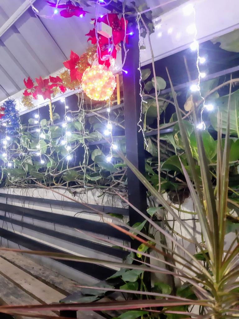 Casa Erelle -1 Bedroom guest house w/ modern kubo photo 2