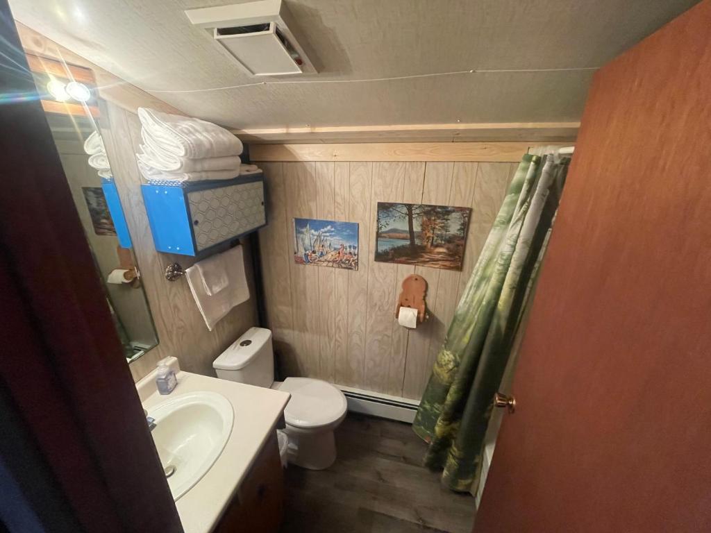 NTJ Moose Lake Cabin photo 4