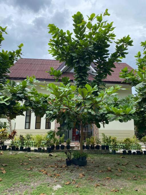 Private Comfortable Guest House photo 3