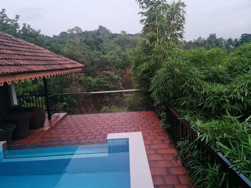 Athirapally Green Trees photo 4