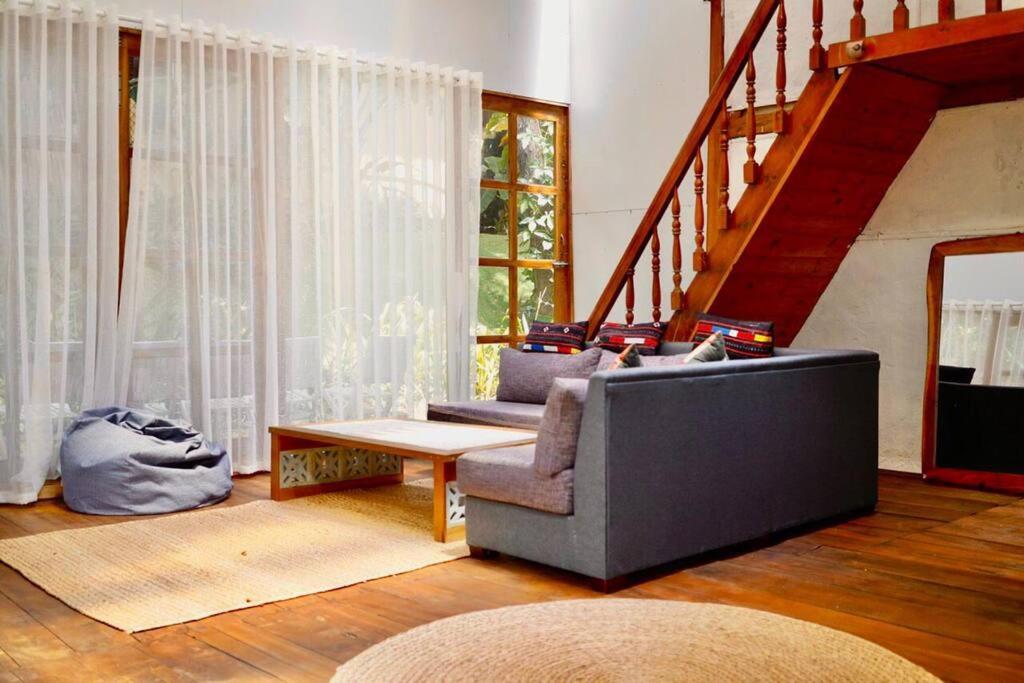 Sol House photo 3