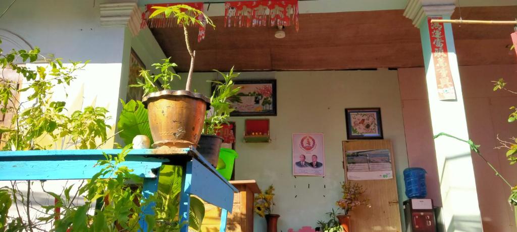 Sunflower Guesthouse Koh Rong photo 2