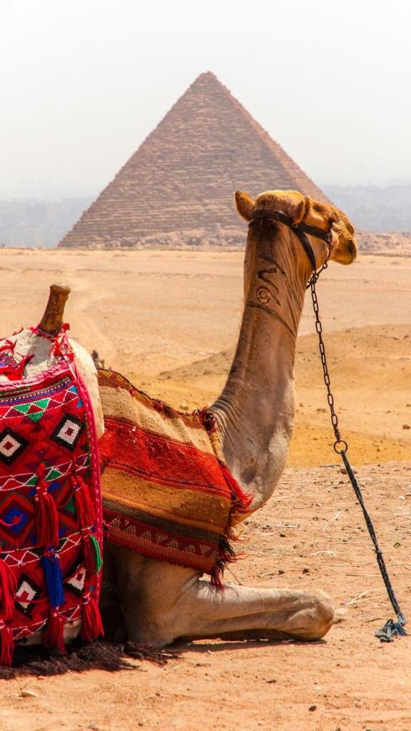 LOVELY PYRAMIDS motel photo 3