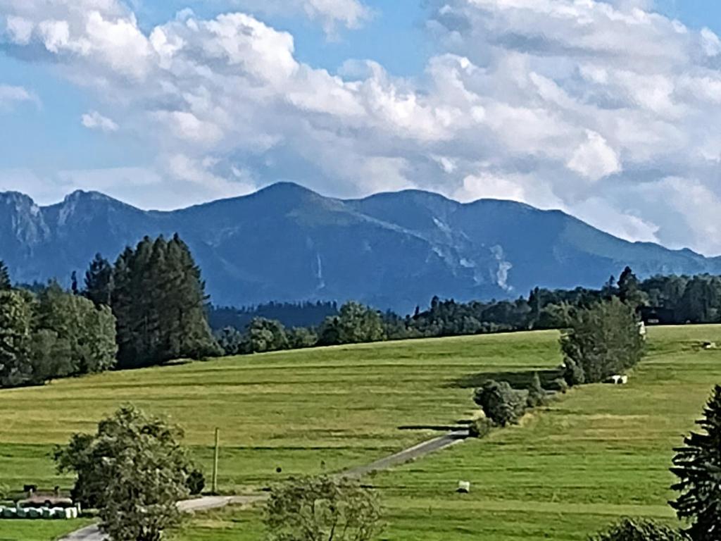 U Chowańców photo 3