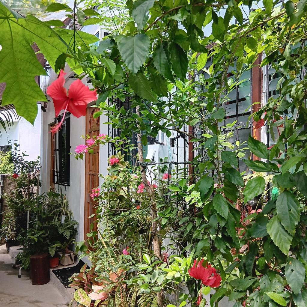 Susing Seaside Guesthouse photo 1