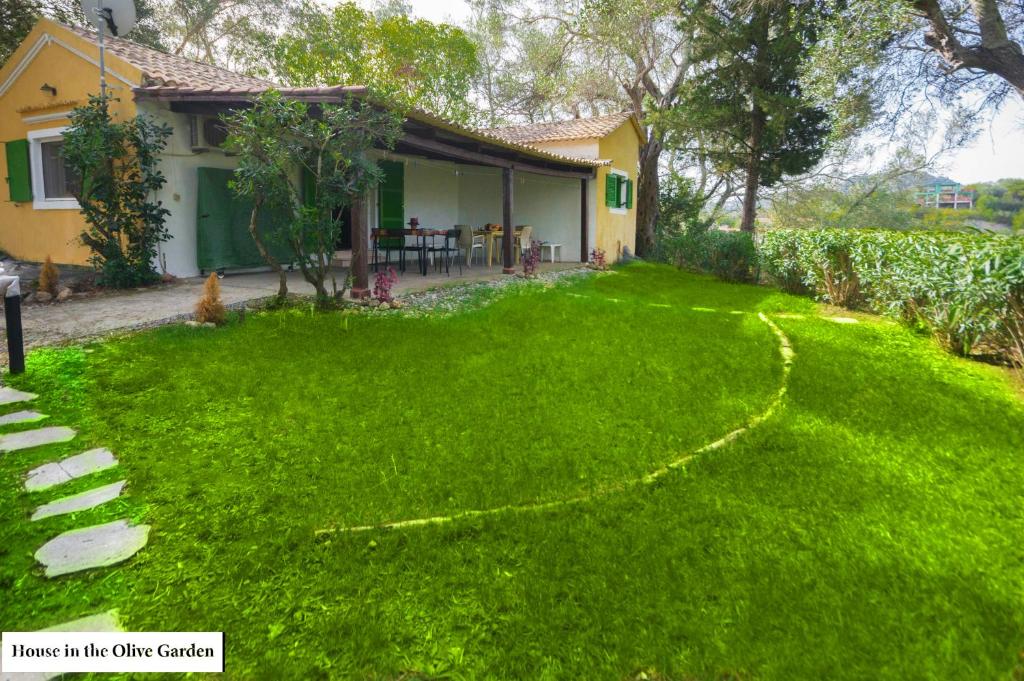 House in the Olive Garden photo 2