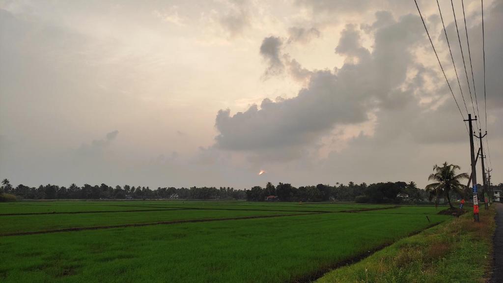 Green and Green Alappuzha photo 4