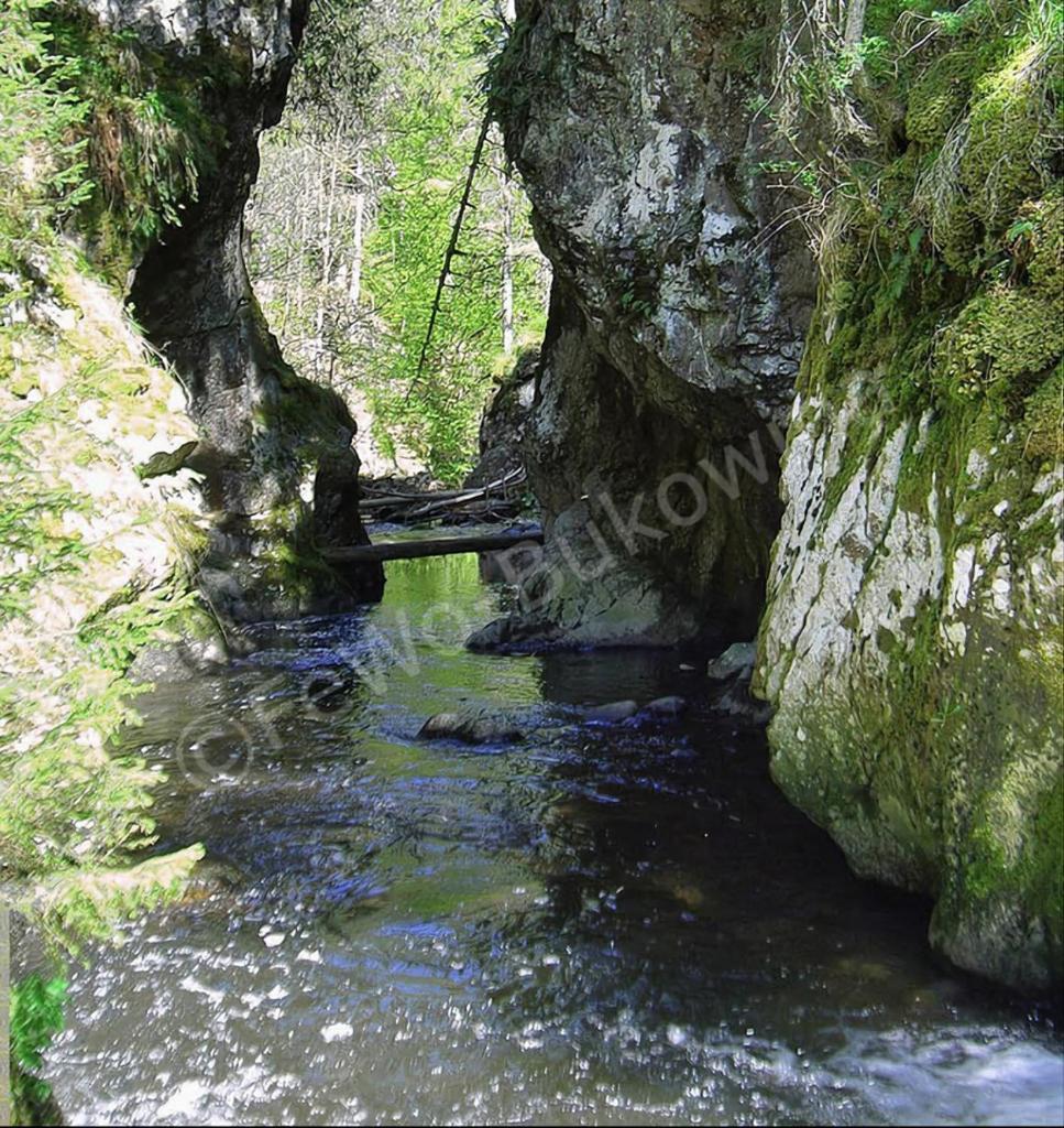 FeWo Bukowina