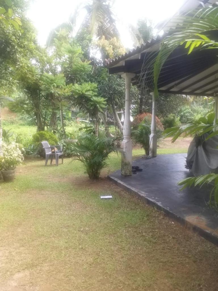 Non-Disturb, Neighbour's Separated, Calm Cool Place From Ahangama Near Paddy Field photo 4