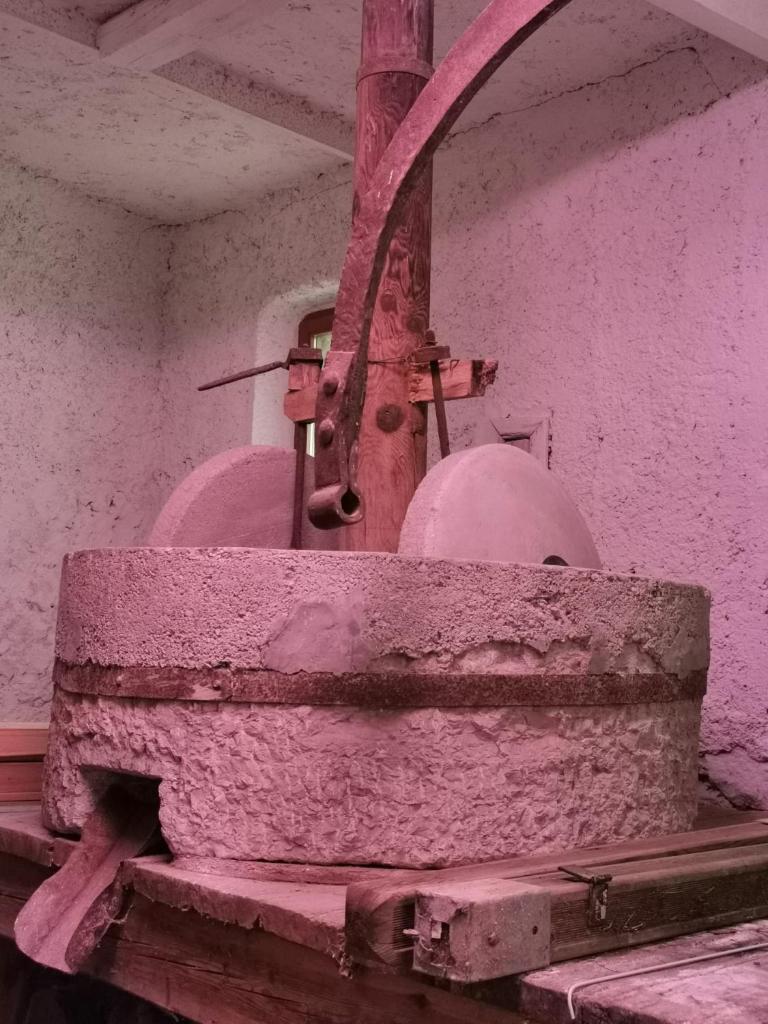 B&B Il Mulino alla Busa photo 3