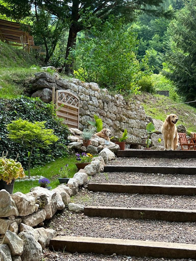 B&B Il Mulino alla Busa photo 2