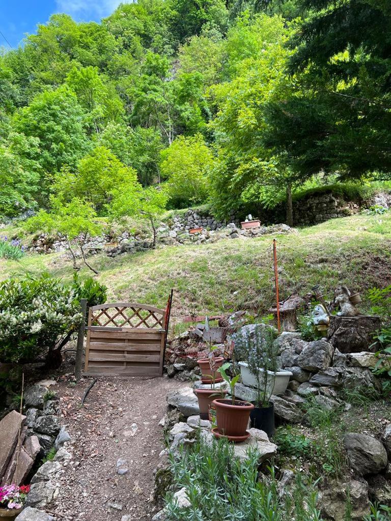 B&B Il Mulino alla Busa photo 4
