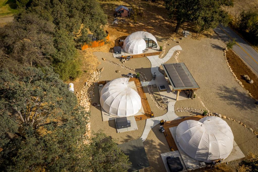 Sequoia Studio Suites photo 4