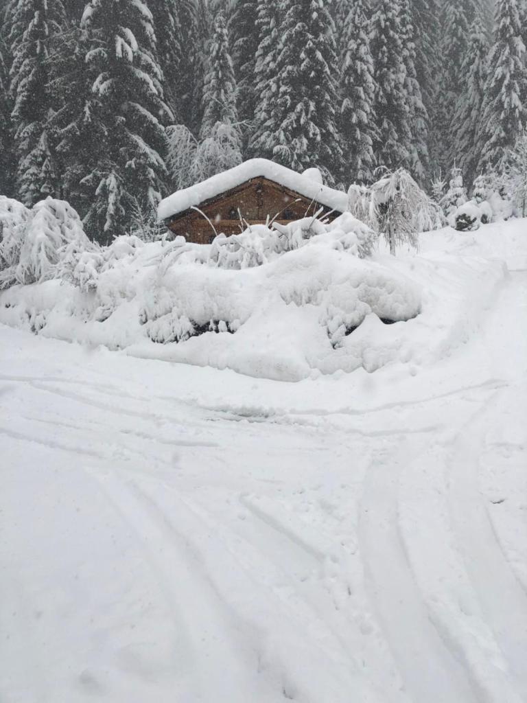 Chalet Chardon photo 1