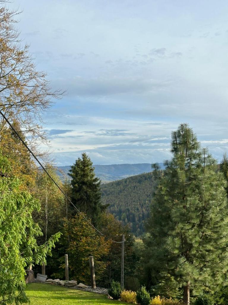 Osada Wichrowe Wzgórze photo 2