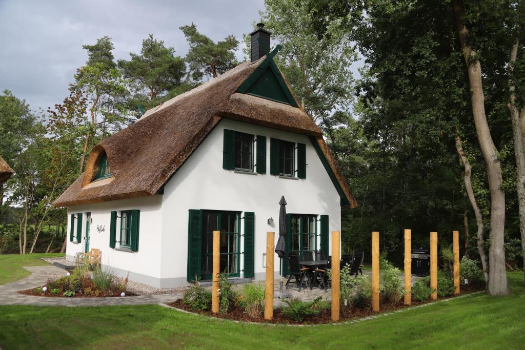 HaffSide Usedom photo 1
