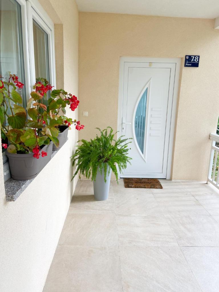 Holiday House Vego photo 1