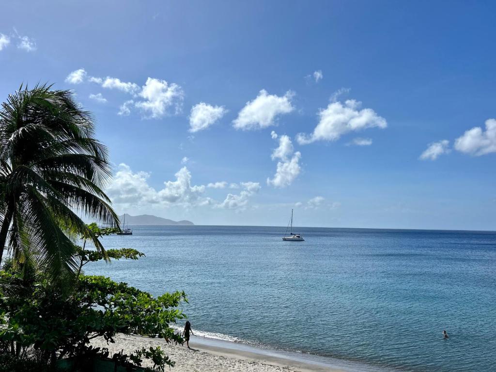 LA PLAGE MARTINIQUE photo 2