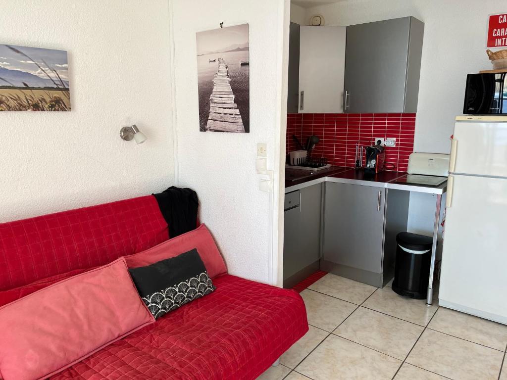 APPARTEMENT VUE IMPRENABLE SUR LE CANIGOU ET L'ETANG photo 4