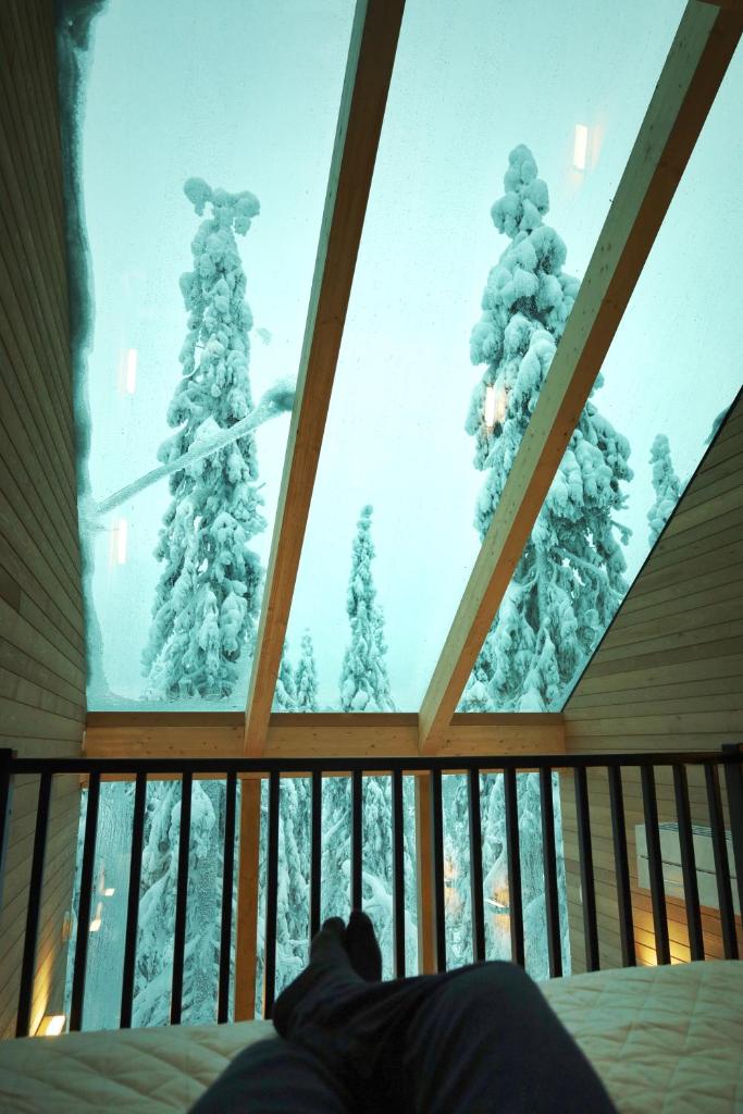 Villa Auroras Karhu photo 4