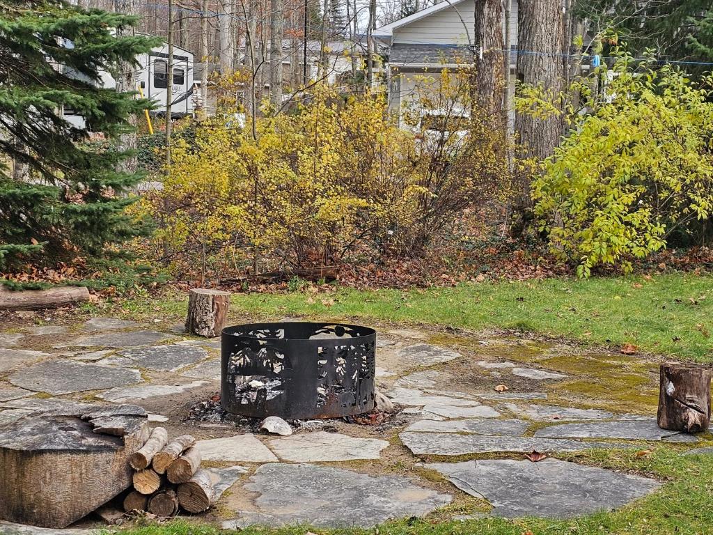 Bearfoot Bungalow photo 2