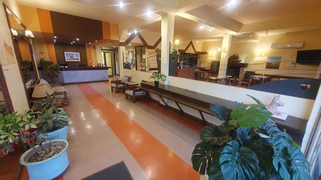Hotel Viola photo 2
