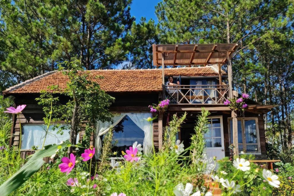 Romantic house on a pine hill Dalat