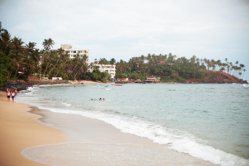 Tropical Inn photo 2