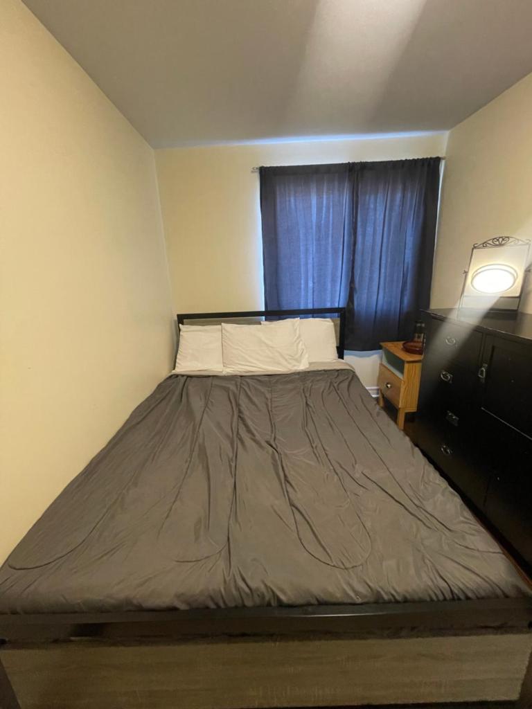 Charming One Bedroom Near Bramalea City Centre photo 1