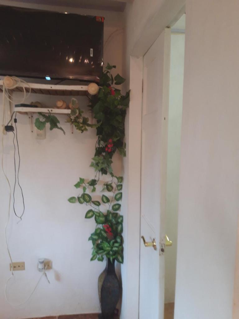Tranquil guest House photo 3