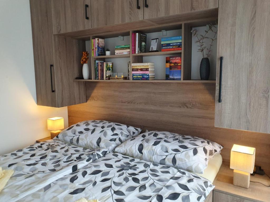 Apartmán Moje Malé Lipno photo 4