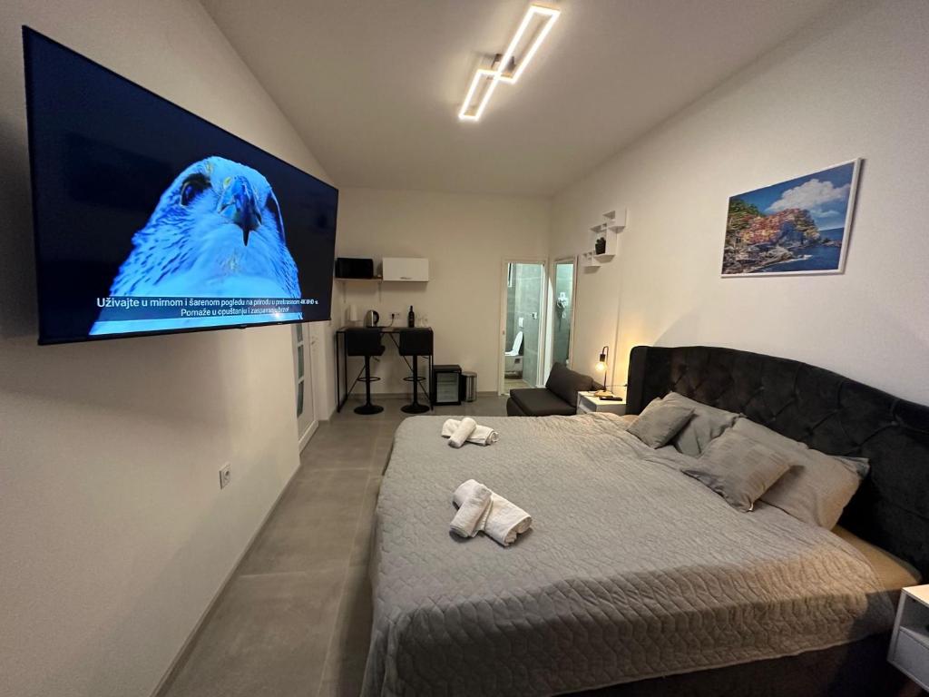 Venite Rooms photo 1