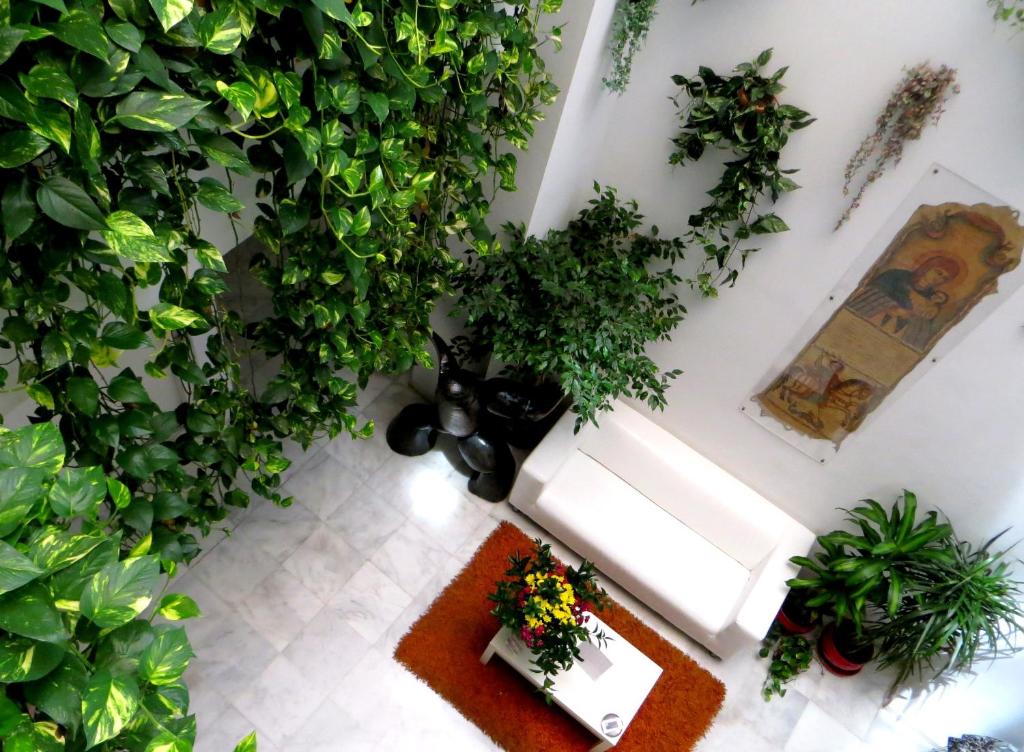 Un Patio al Sur photo 4