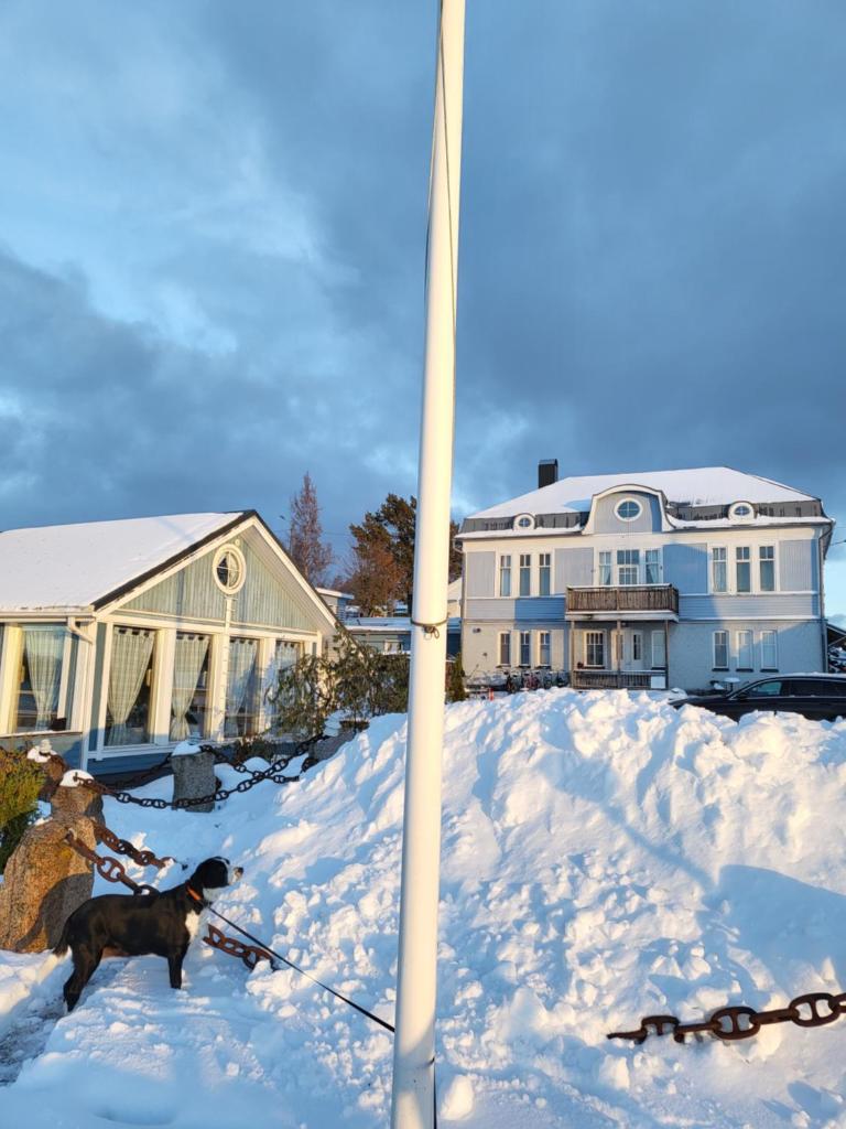 Sininen Hetki Bed& Breakfast majoitus meren äärellä photo 4