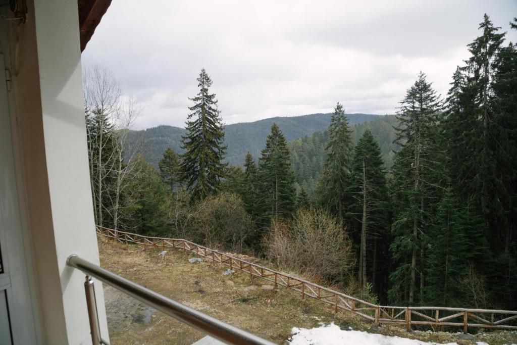 Къща за гости Донука photo 1