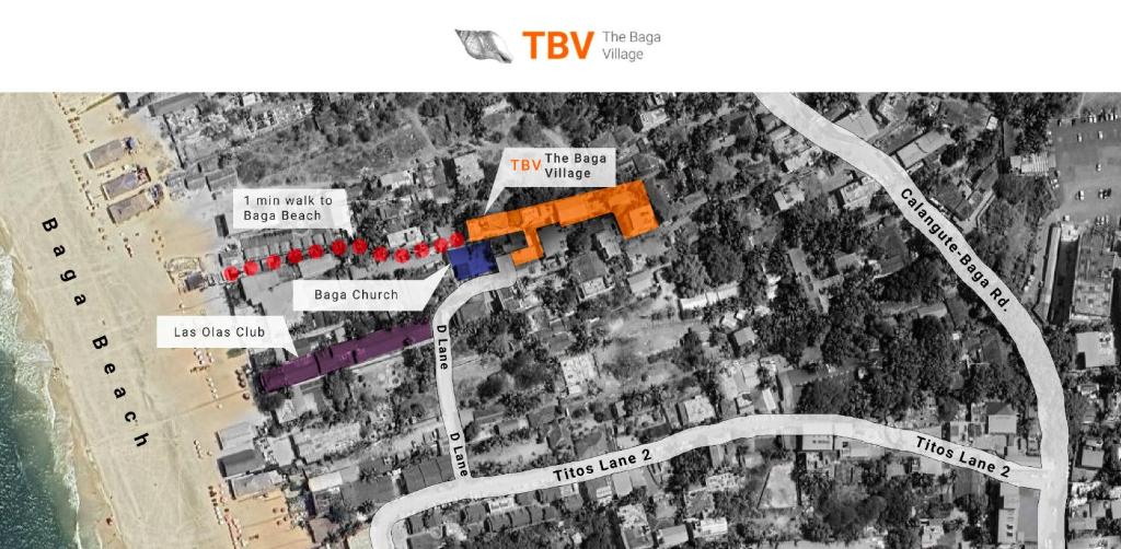 The Baga Domingo-TBV photo 3