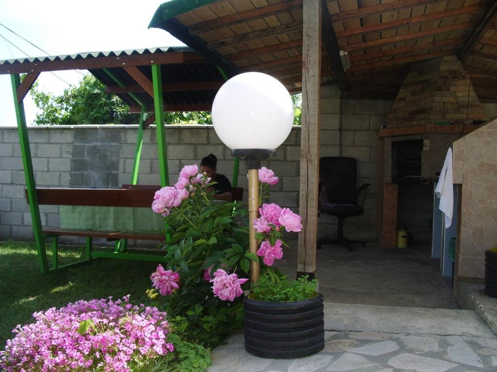 Enjoy Guest House photo 4