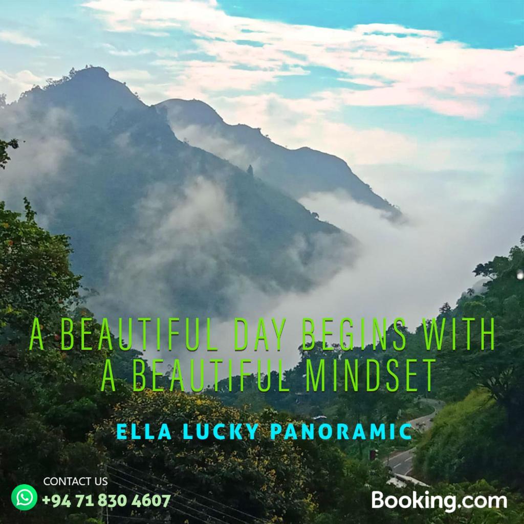Ella Lucky Panoramic photo 1
