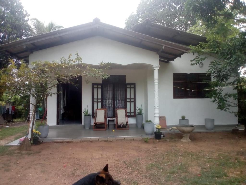 Roch home