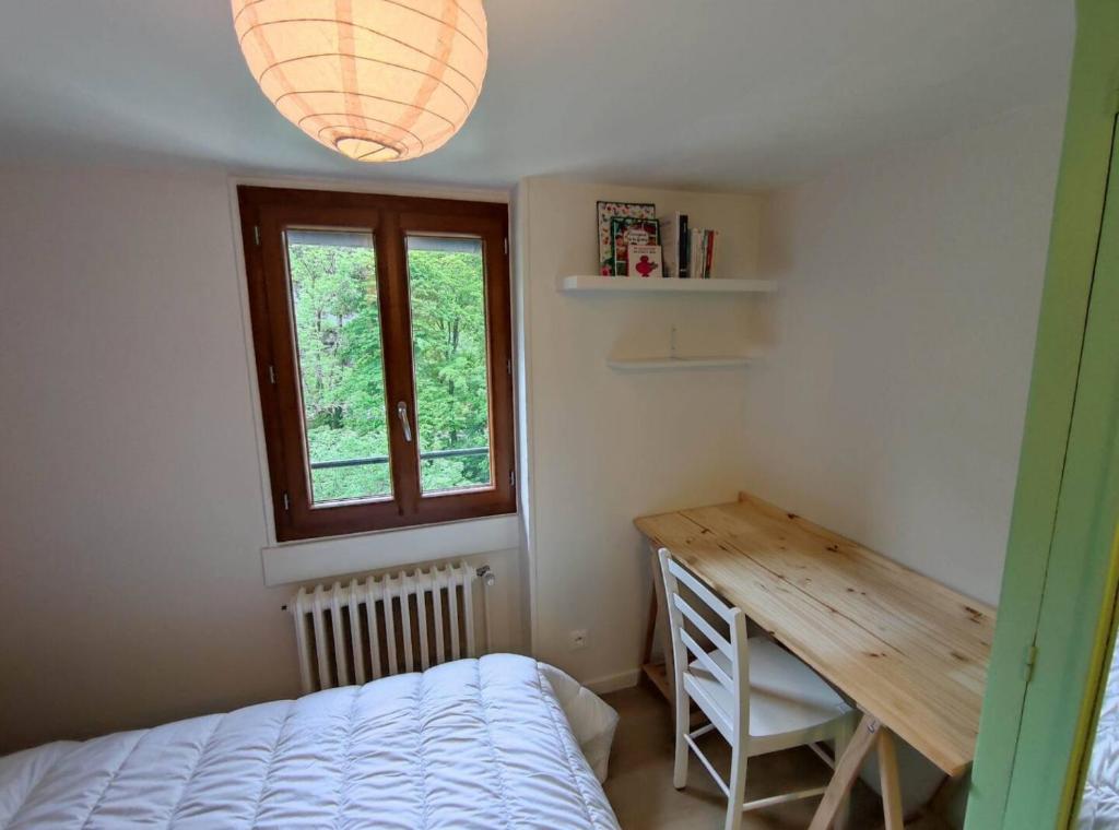 Appartement avec vue sur le Sancy, parking gratuit photo 2