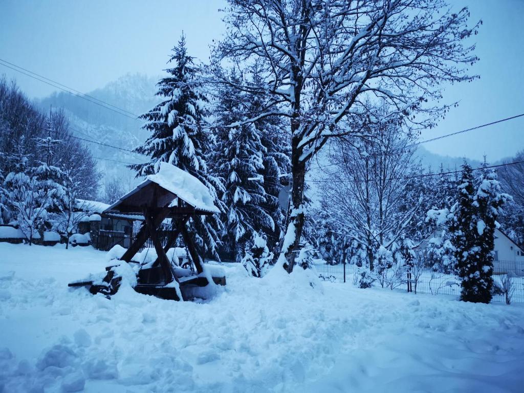 Cabana Valea Rea, Boga photo 2