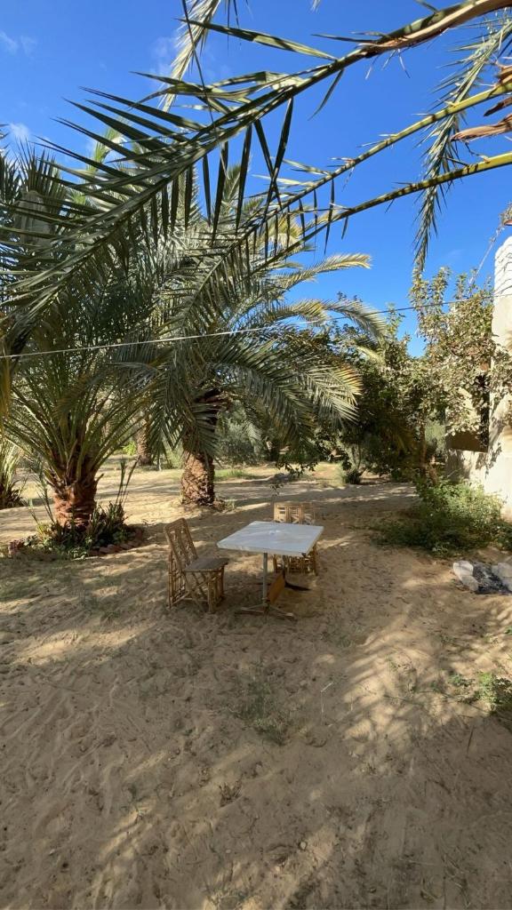 Siwa desert home photo 1