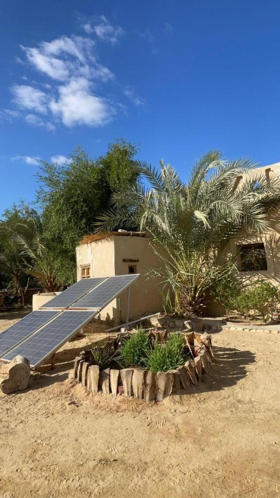 Siwa desert home photo 3