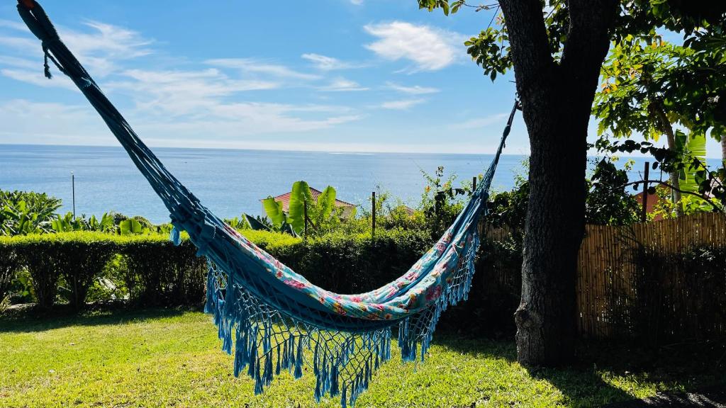 Chalet Tropical photo 3