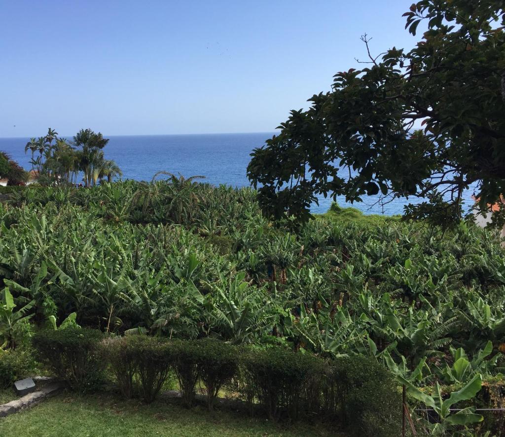 Chalet Tropical photo 2