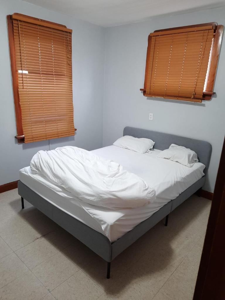 House -1 photo 1