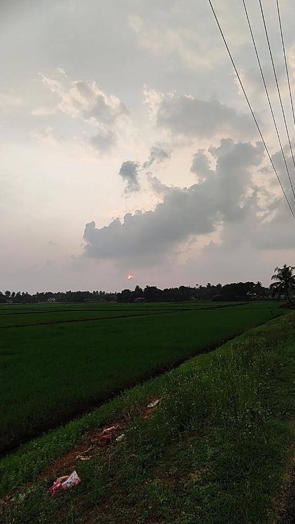 Green and Green Alappuzha photo 2