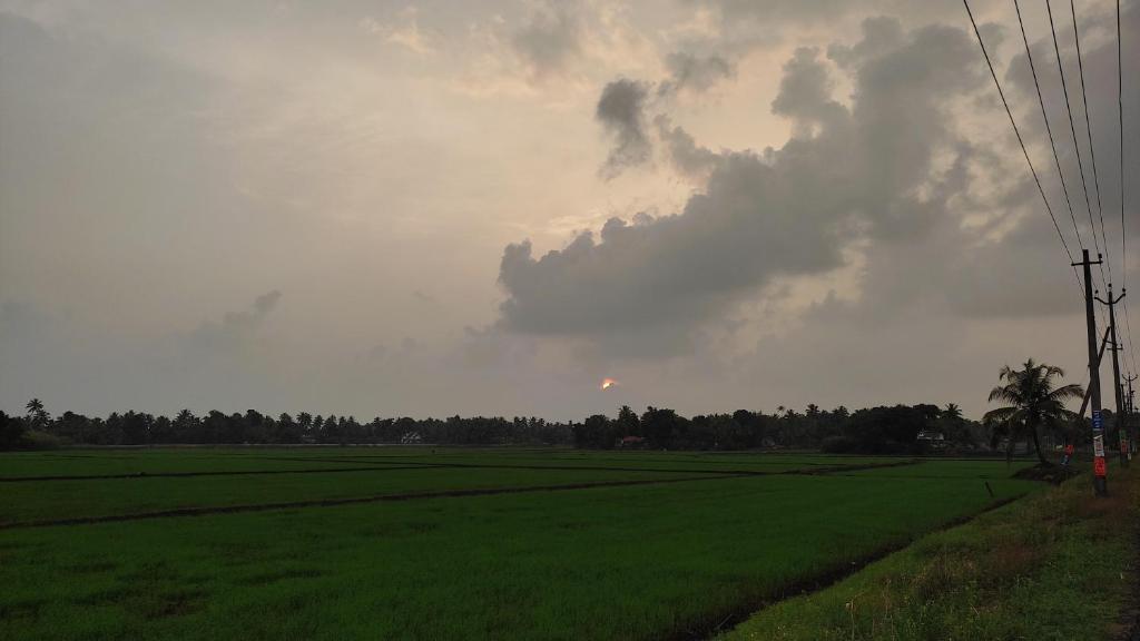 Green and Green Alappuzha photo 1