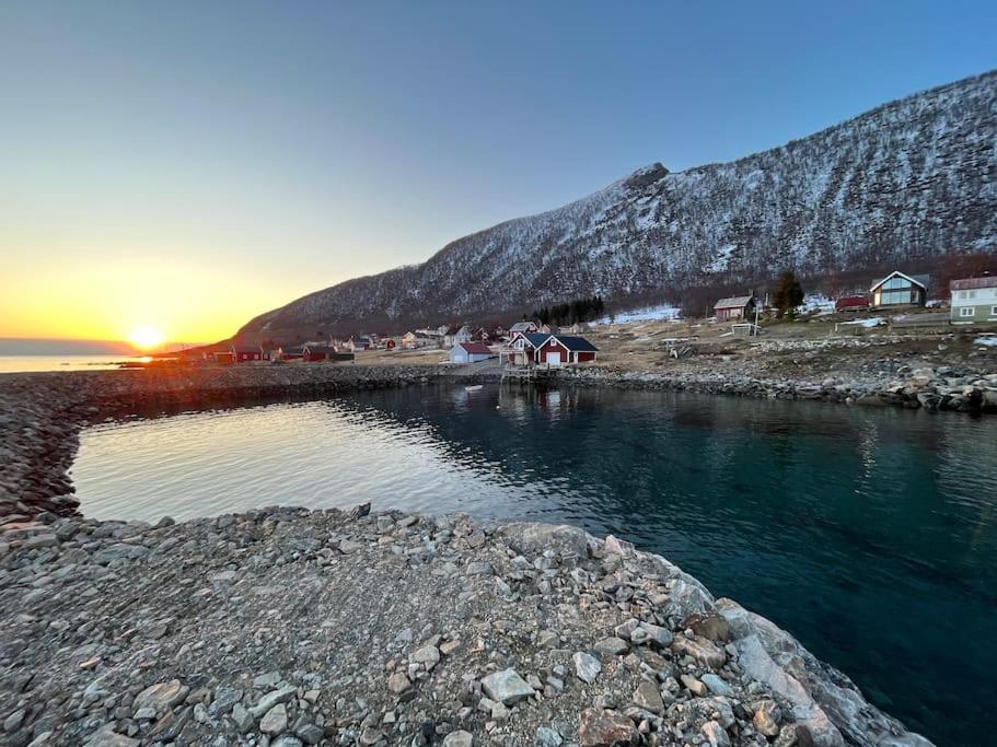 Leilighet i rorbu på Kaldfarnes - Yttersia Senja photo 3