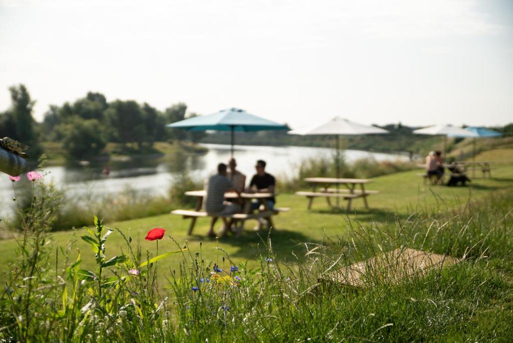 Camping de Boomgaard photo 4